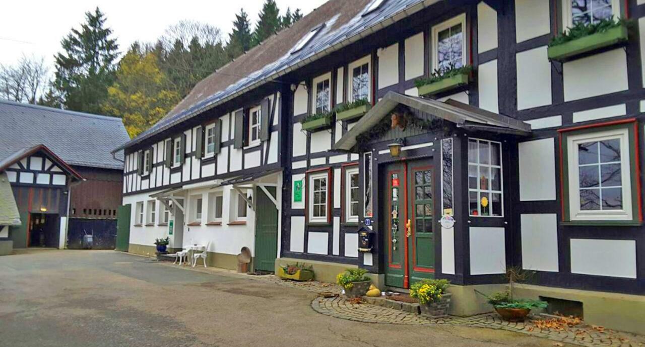 Berghof Schmitte Casa de hóspedes Winterberg Exterior foto