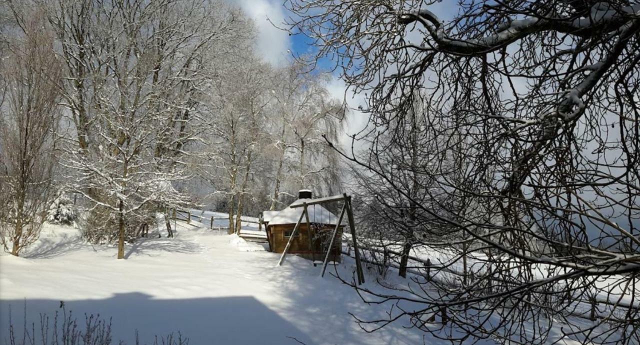 Berghof Schmitte Casa de hóspedes Winterberg Exterior foto