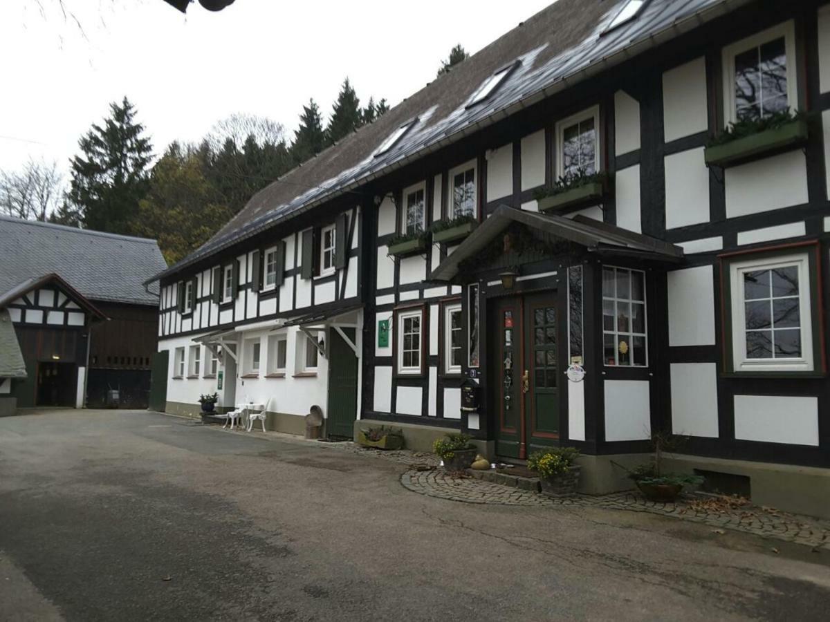 Berghof Schmitte Casa de hóspedes Winterberg Exterior foto
