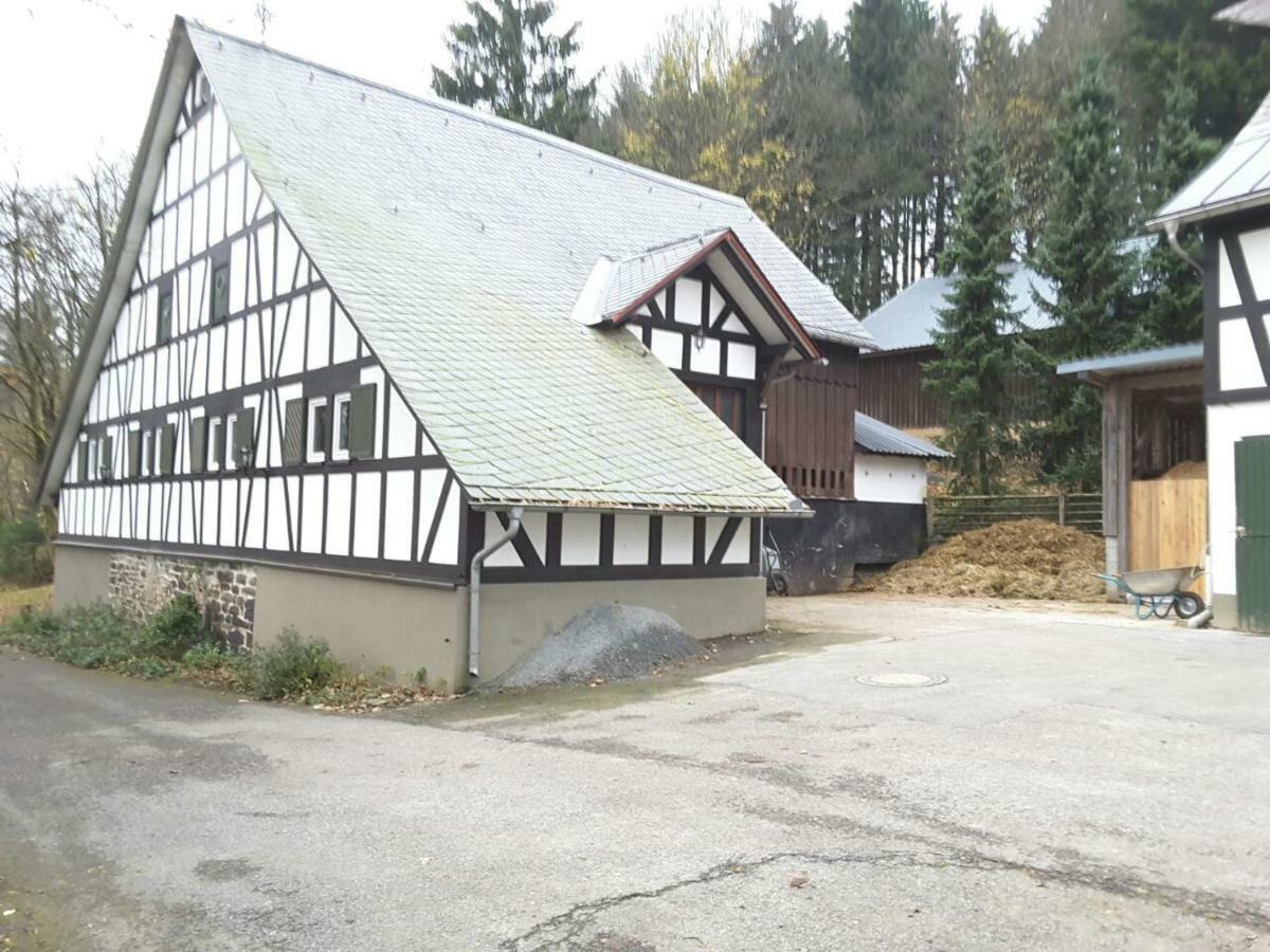 Berghof Schmitte Casa de hóspedes Winterberg Exterior foto