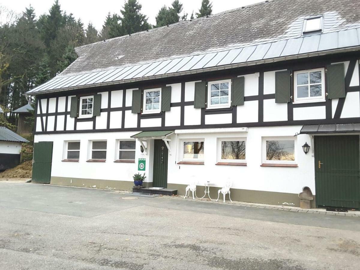 Berghof Schmitte Casa de hóspedes Winterberg Exterior foto